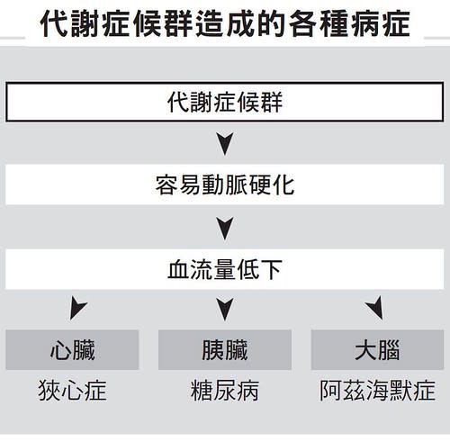 代謝症候群造成的各種病症