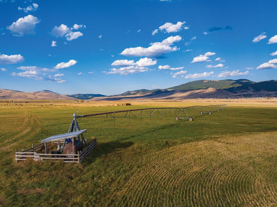 Fields with irrigation