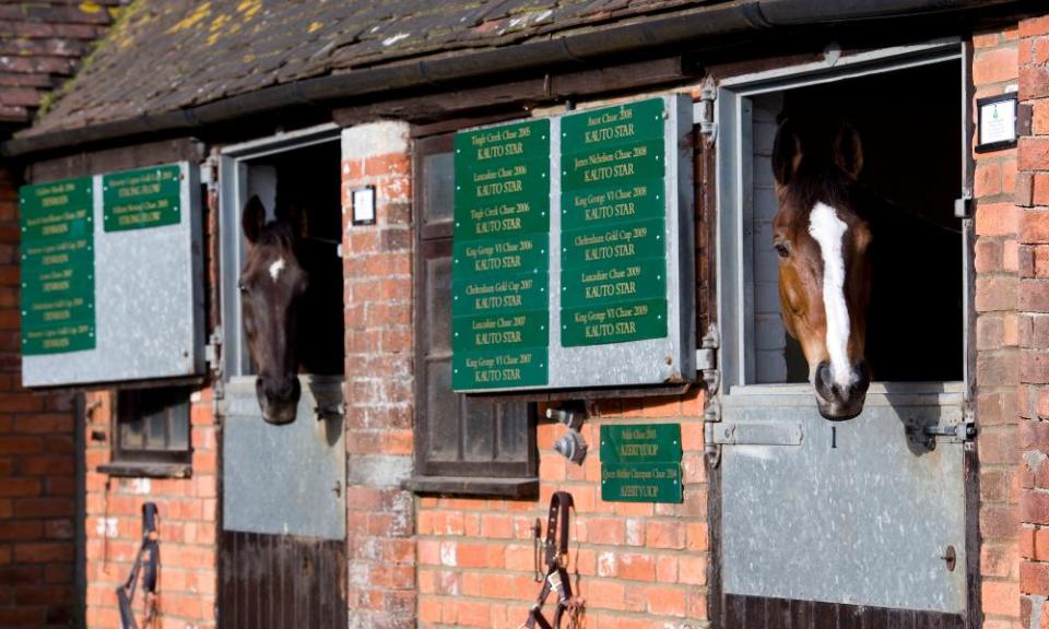 Denman (left) and Kauto Star in their boxes at Manor Stables in Somerset.