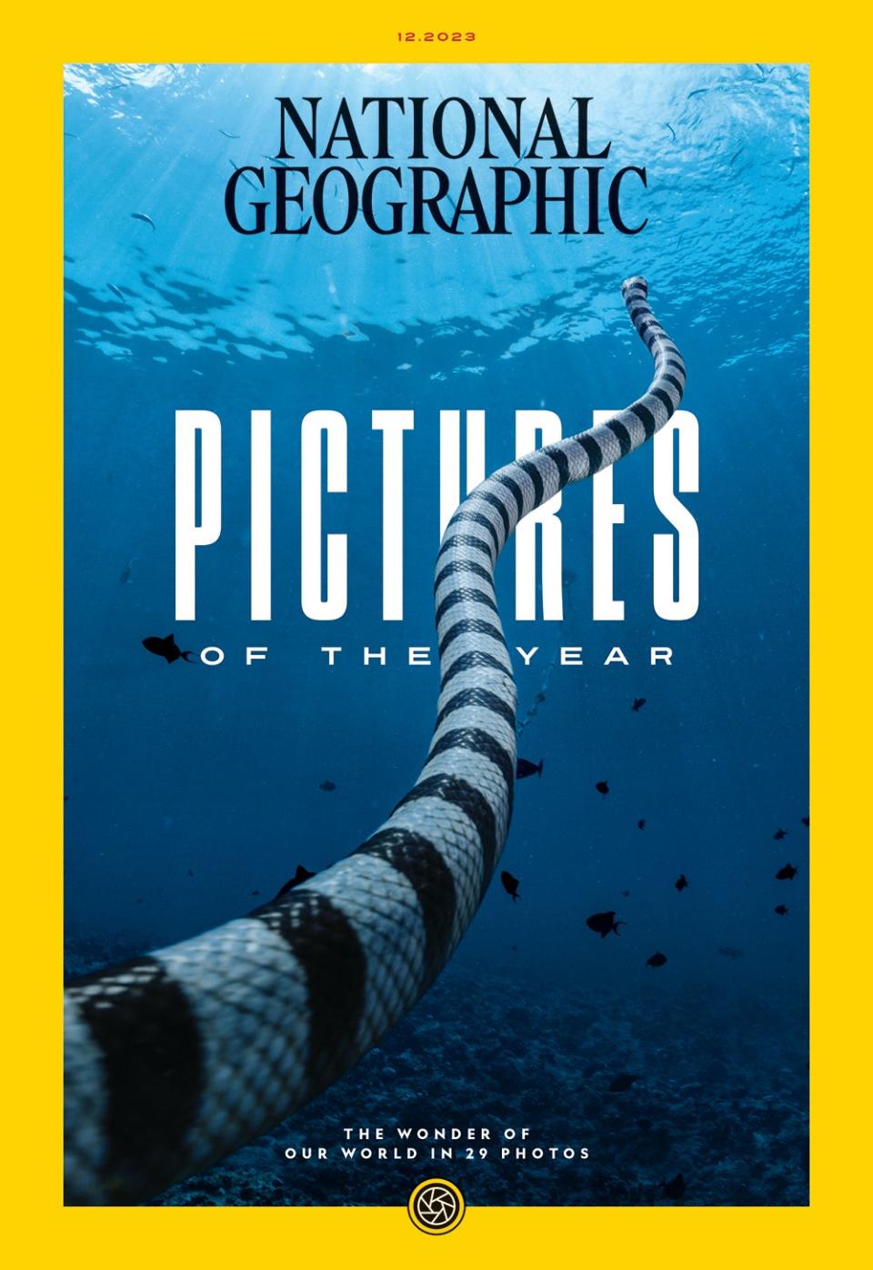 Check out some of National Geographic’s 2023 Pictures of the Year