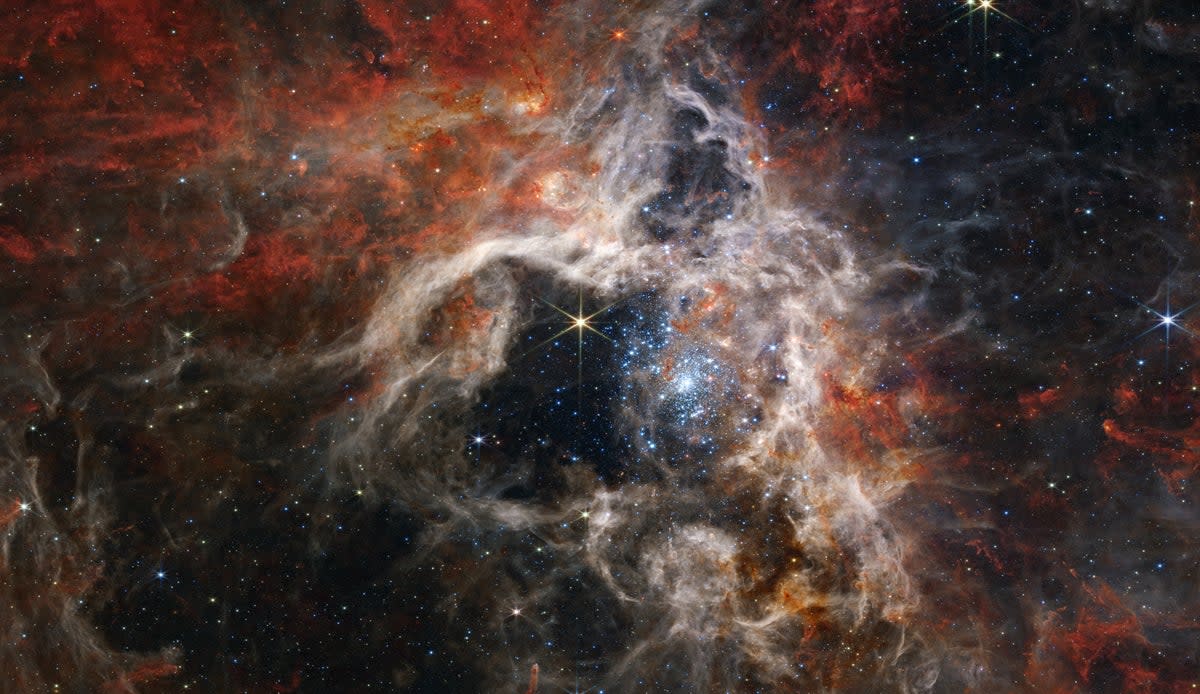 La Nebulosa de la Tarántula vista por la cámara del infrarrojo cercano del telescopio espacial James Webb (Nircam) (NASA, ESA, CSA, and STScI)