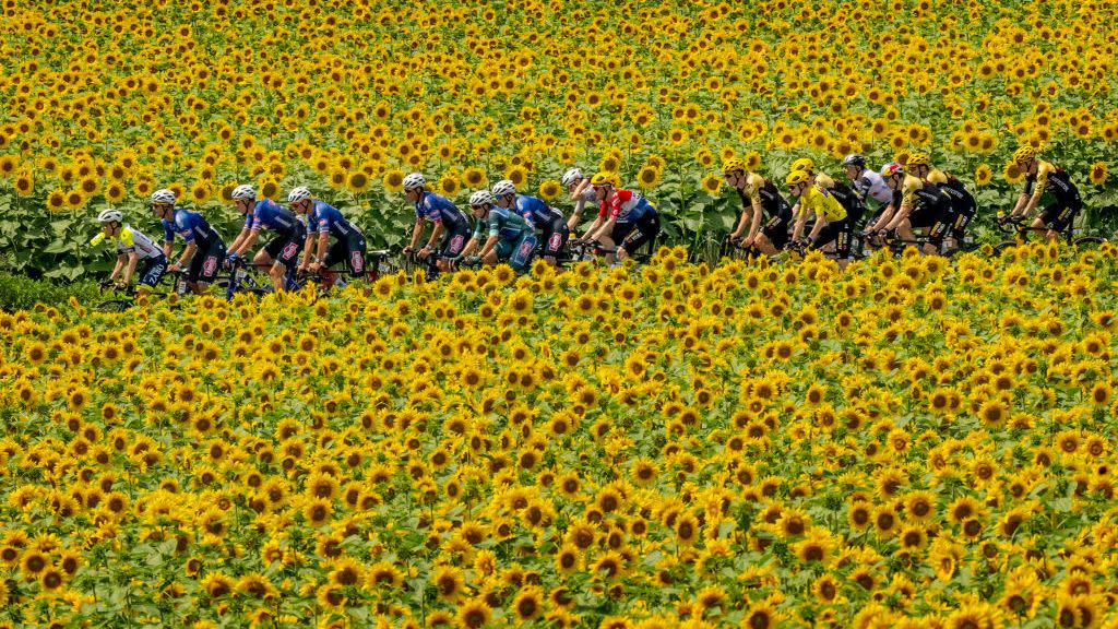 110th tour de france 2023 stage 8