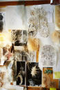Iris van Herpen's mood board in her Amsterdam office is filled with feathers and skeletal structures that likely help her imagine her 3-D printed dresses.
