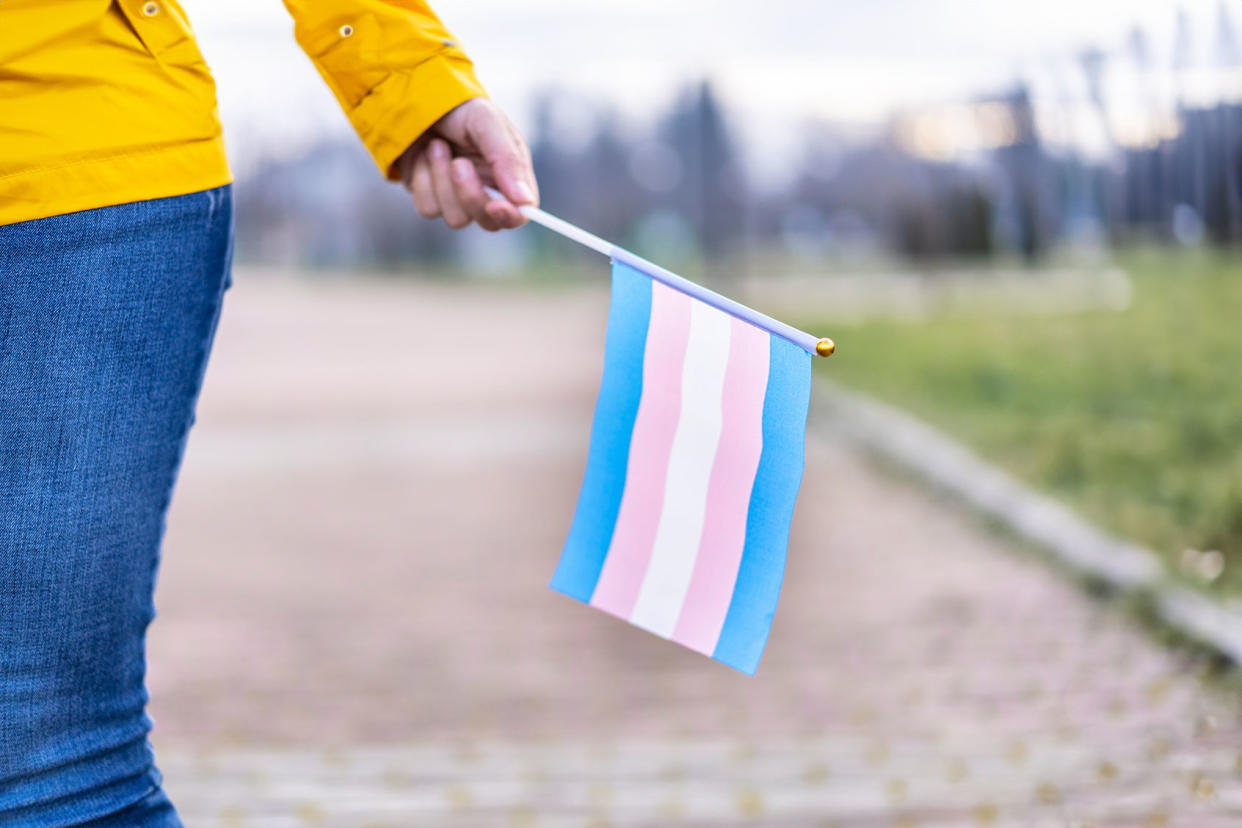 Holding a transgender flag Getty Images/Vladimir Vladimirov