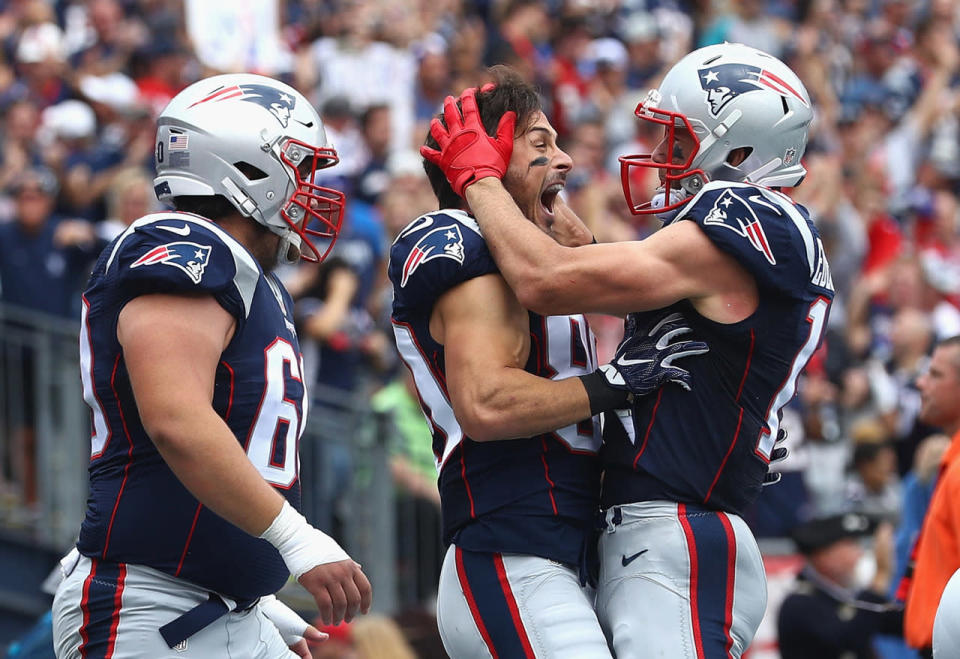 Danny Amendola celebrates