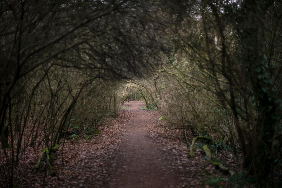 Auf dem Holzweg sein