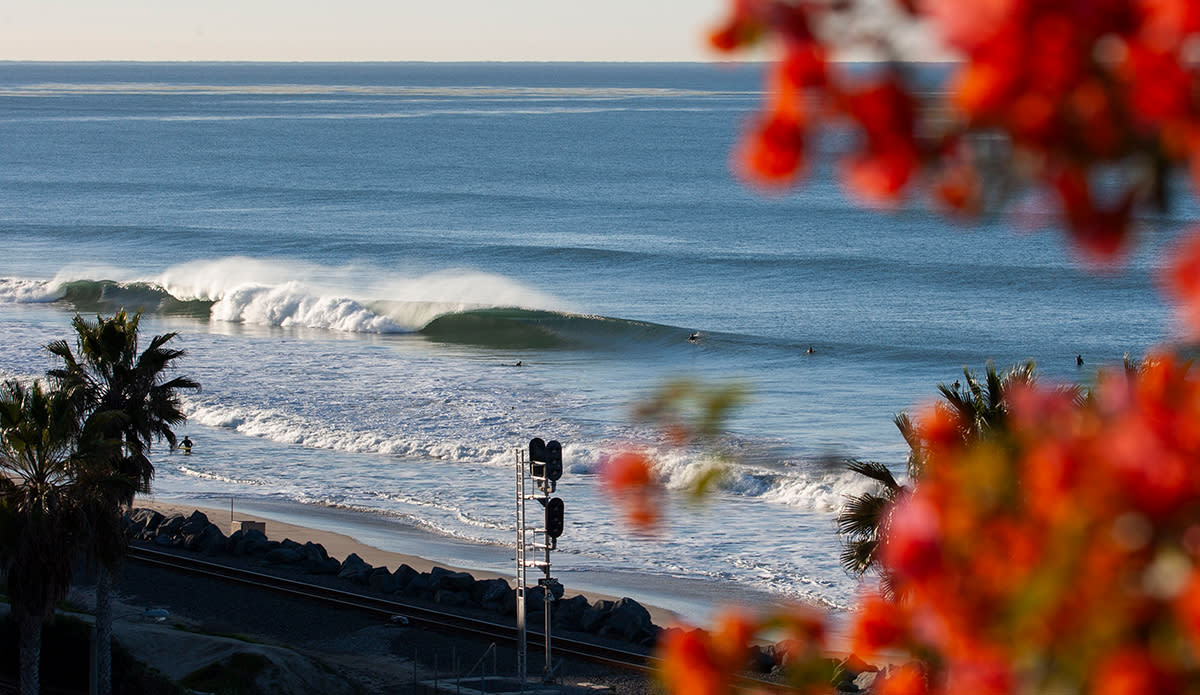This is what is at stake. Photo: Shawn Parkin // Bring Back Our Beaches