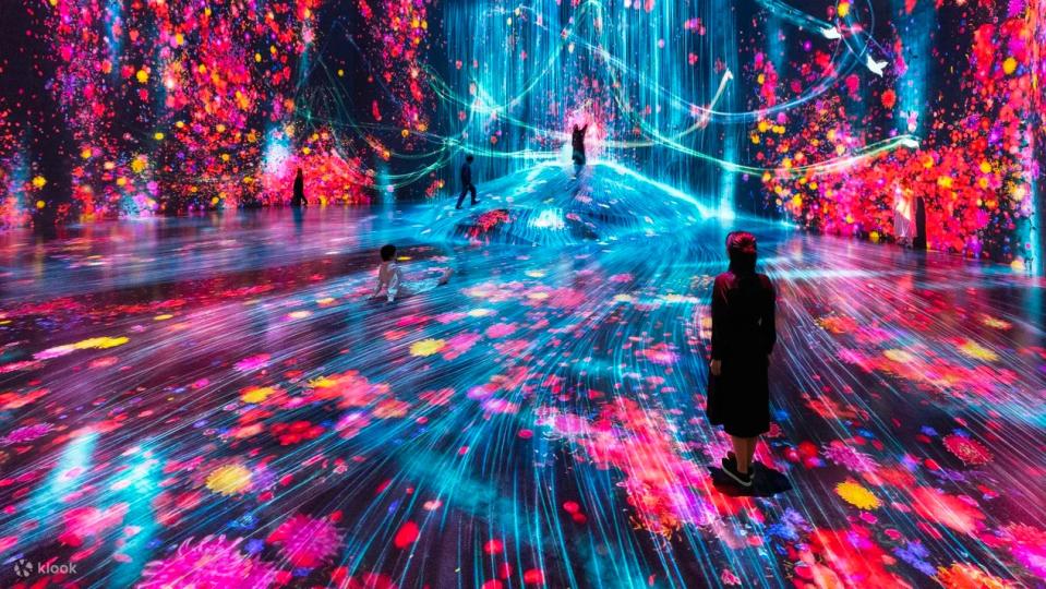 See digital art at TeamLab Borderless (Mori Building Digital Art Museum). (PHOTO: Klook)