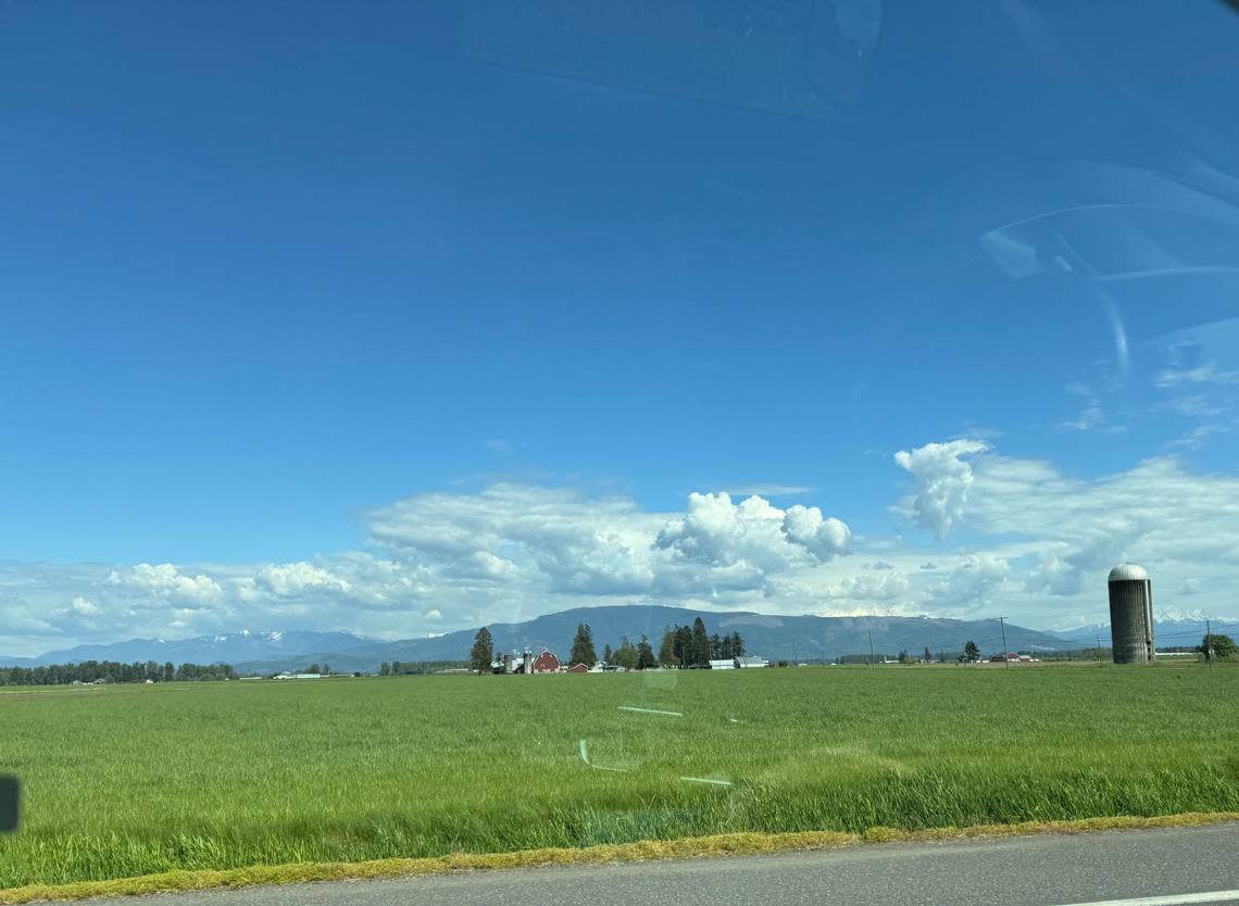 The view from Hannegan Rd. in Lynden, Wash. on Thursday, May 2, 2024. Alyse Smith/The Bellingham Herald