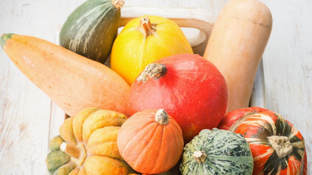 assortment of pumpkins and gourds in a tray on the white wooden table background, vertical, selective focus