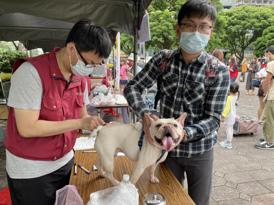 協助犬隻完成預防注射。   圖：新北市動保處提供