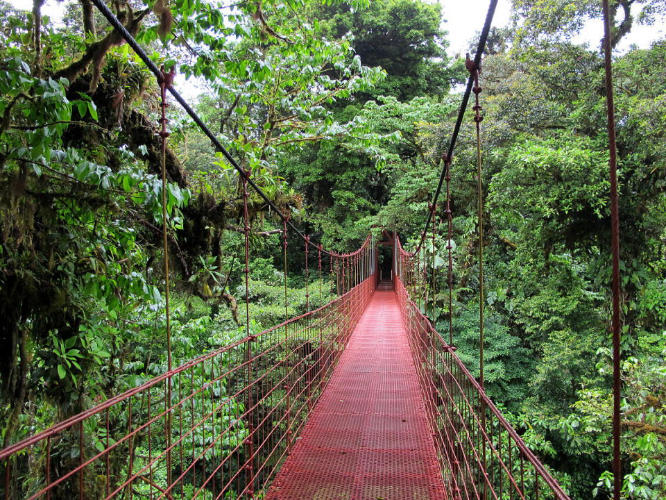 Costa Rica está vendiendo la batalla a la deforestación (Wikipedia).