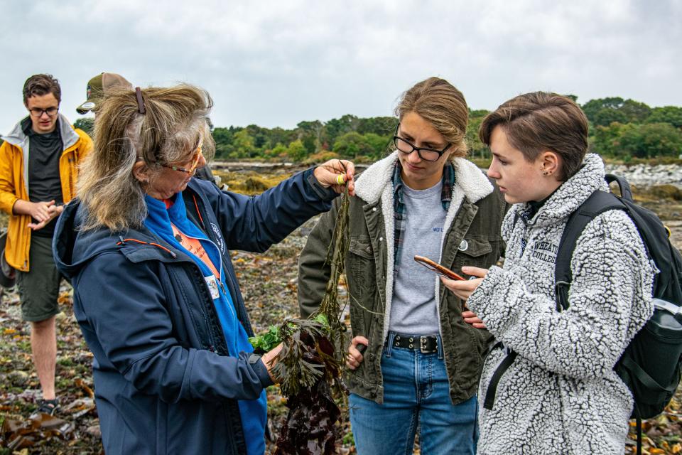 Seacoast Science Center’s BioBlitz, held on Saturday, Sept. 23, is a daylong community science event where families can discover the amazing biodiversity of Odiorne Point State Park while helping field experts collect data. Here, SSC Naturalist Nikki Annelli identifies seaweeds collected along the shore.