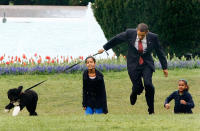 <p>President Barack Obama’s new Portuguese water dog Bo pulls away as Obama walks with daughters Malia (L) and Sasha (R) on the South Lawn of the White House April 14, 2009 in Washington, DC. The six-month-old puppy is a gift from Sen. Edward M. Kennedy (D-MA) who owns several Portuguese water dogs himself. This breed of dog is considered a good pet for children who have allergies, as Malia does. (Win McNamee/Getty Images) </p>