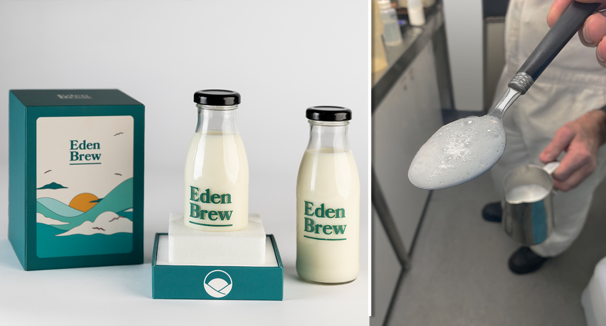 Left - bottles of milk labelled Eden Brew. Right - Frothed up Eden Brew milk in a lab.