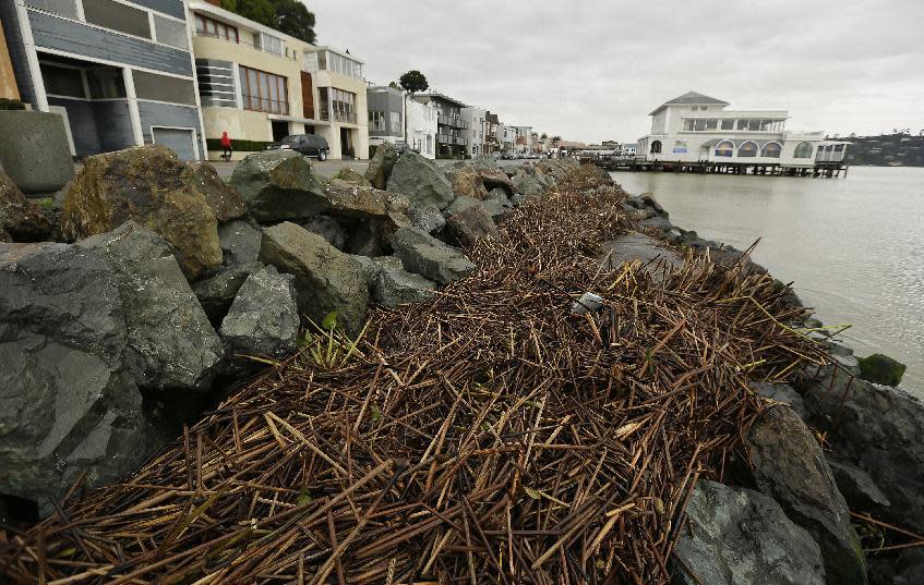 Storm debris covers a waterfront walkway Friday, Feb. 17, 2017, in Sausalito, Calif. A powerful storm is beginning to move into California as the saturated state faces a new round of wet weather that could trigger flooding and debris flows around the northern region. (AP Photo/Eric Risberg)