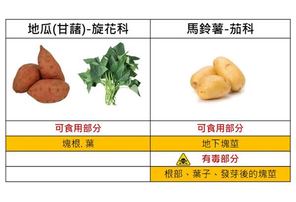 地瓜氧化顏色變深不能吃？冤枉了，地瓜美味全身是寶！