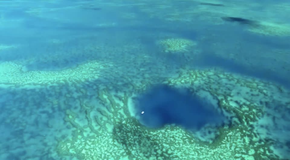 Gaskell says his team may have been the first to explore this part of the Reef. Source/@johnny_gaskell