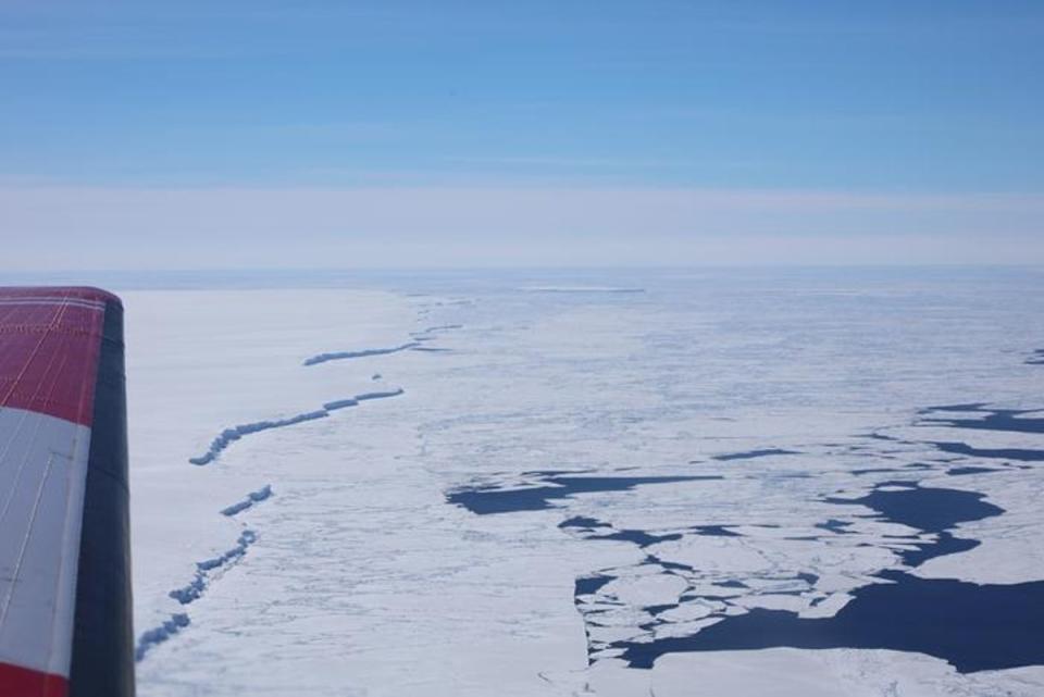 An aerial view of the Denman Glacier ice tongue in East Antarctica where researchers carried out their study (Jamin S Greenbaum)