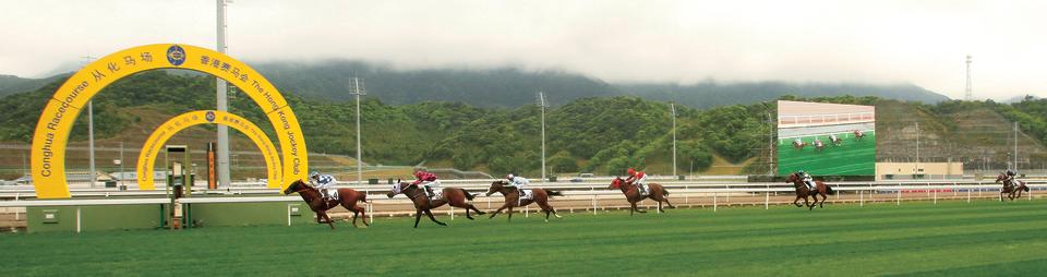 從化馬場擁有優秀的馬匹訓練及護理設施，能有助馬會進一步提升世界級賽馬運動的水平。