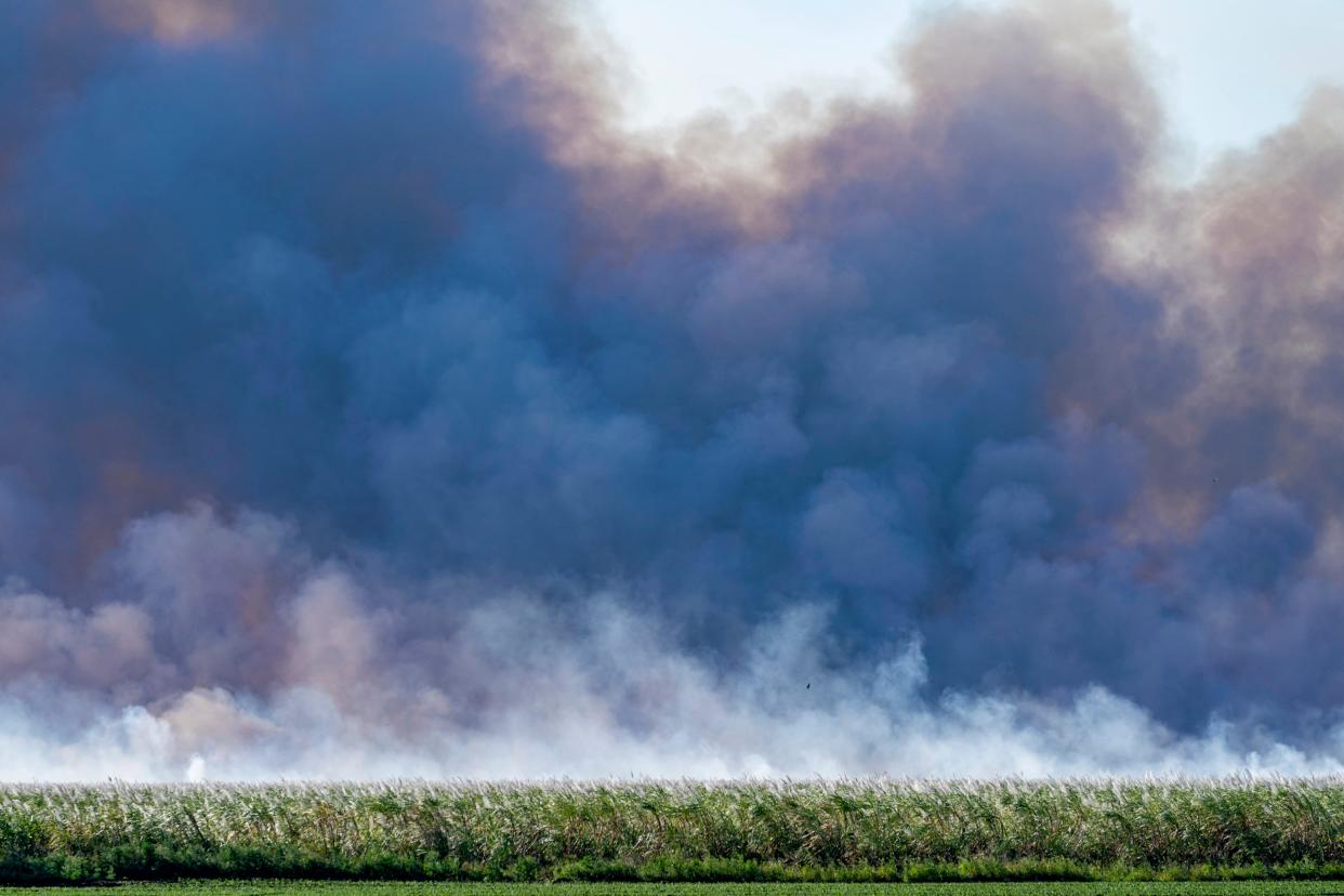 A sugar cane field burns outside of Pahokee.. GREG LOVETT/The Palm Beach Post