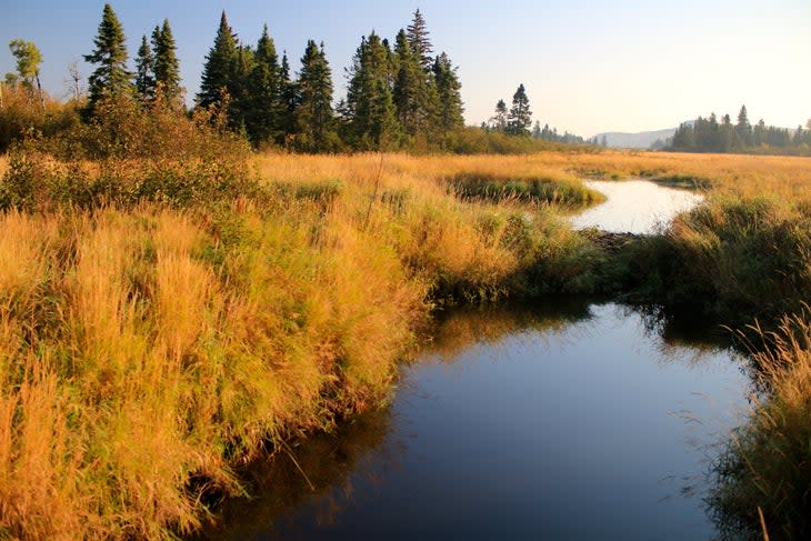 <span class="article__caption">Superior Hiking Trail</span> (Photo: NatureNerd/<a href="https://www.flickr.com/photos/55839122@N04/15497416715/in/photolist-pBsj4V-pk3xfJ-pBxDQD-pBg1na-pk2Wgo-pk1MST-pk3LMv-2mtRSPK-L1Mhck-pBf71M-LQHCbg-nrQLjJ-2mvpqpt-2krxss7-2kxDfwY-294XtsU-M44u9c-55as6p-afaifo-pk317S-pk3s1x-pk2F6U-prjdMy-pztH3m-559ZYZ-2TBgf-zD5wXH-2TBrD-55aa2X-55ei87-2gtcTYy-2gtd3Em-5E97nk-2kBRoEd-88vkYy-2nNRjK4-2hHVdgR-2gtcXtE-2kubPd6-2mvZNtL-2jd5eWG-2mbzJCK-8UQ1Td-2maLHWg-8UQ26G-z65zEC-4TNYJ5-2mvTdNv-2Tz51-8UQ2tQ" rel="nofollow noopener" target="_blank" data-ylk="slk:Flickr;elm:context_link;itc:0;sec:content-canvas" class="link ">Flickr</a>)