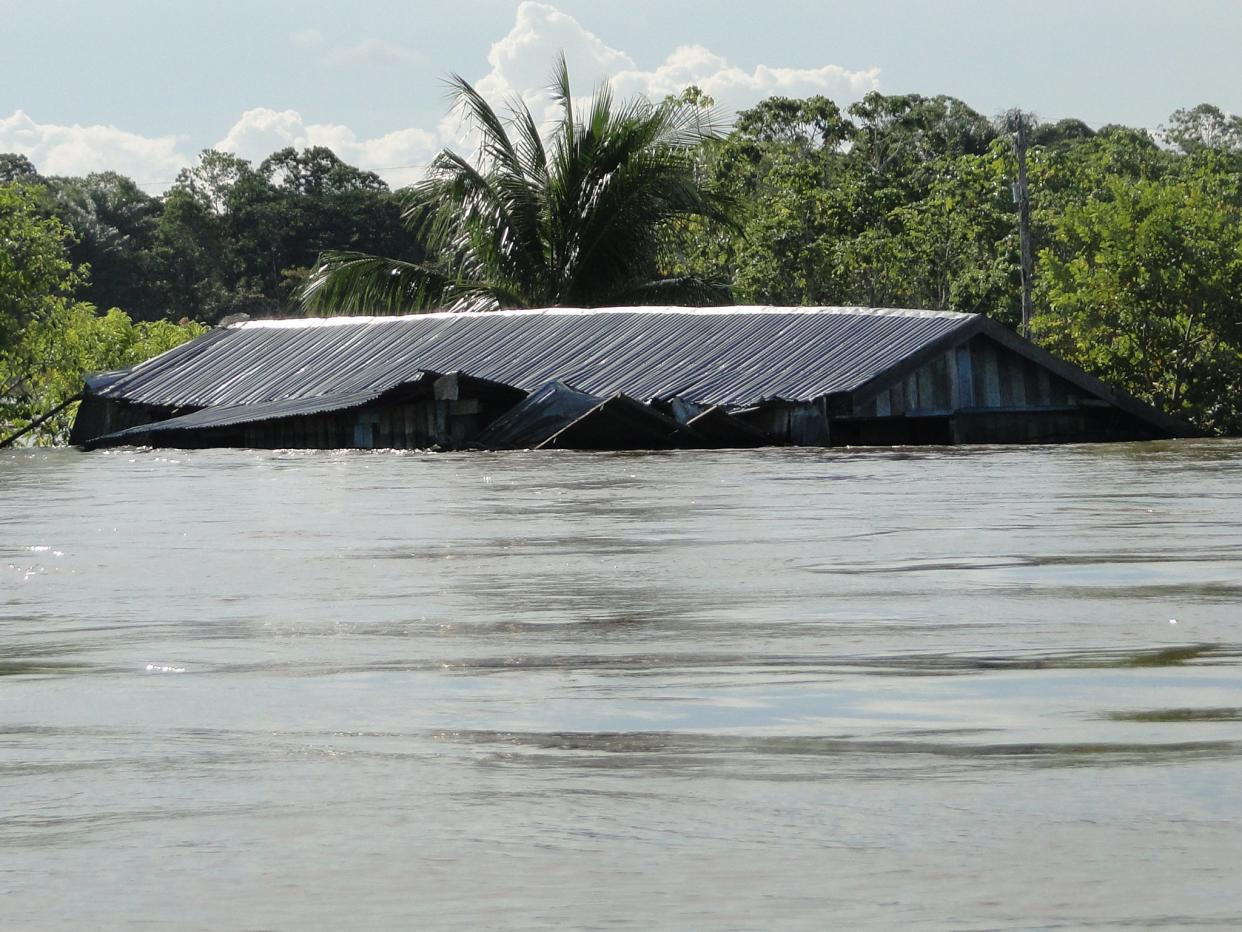 Inundated house along Solimões River (Central Amazonia) during the record-breaking flood in 2012: Jochen Schöngart, National Institute for Amazon Research