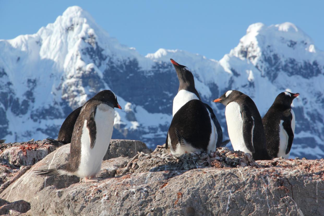 Photo of Base A at Port Lockroy