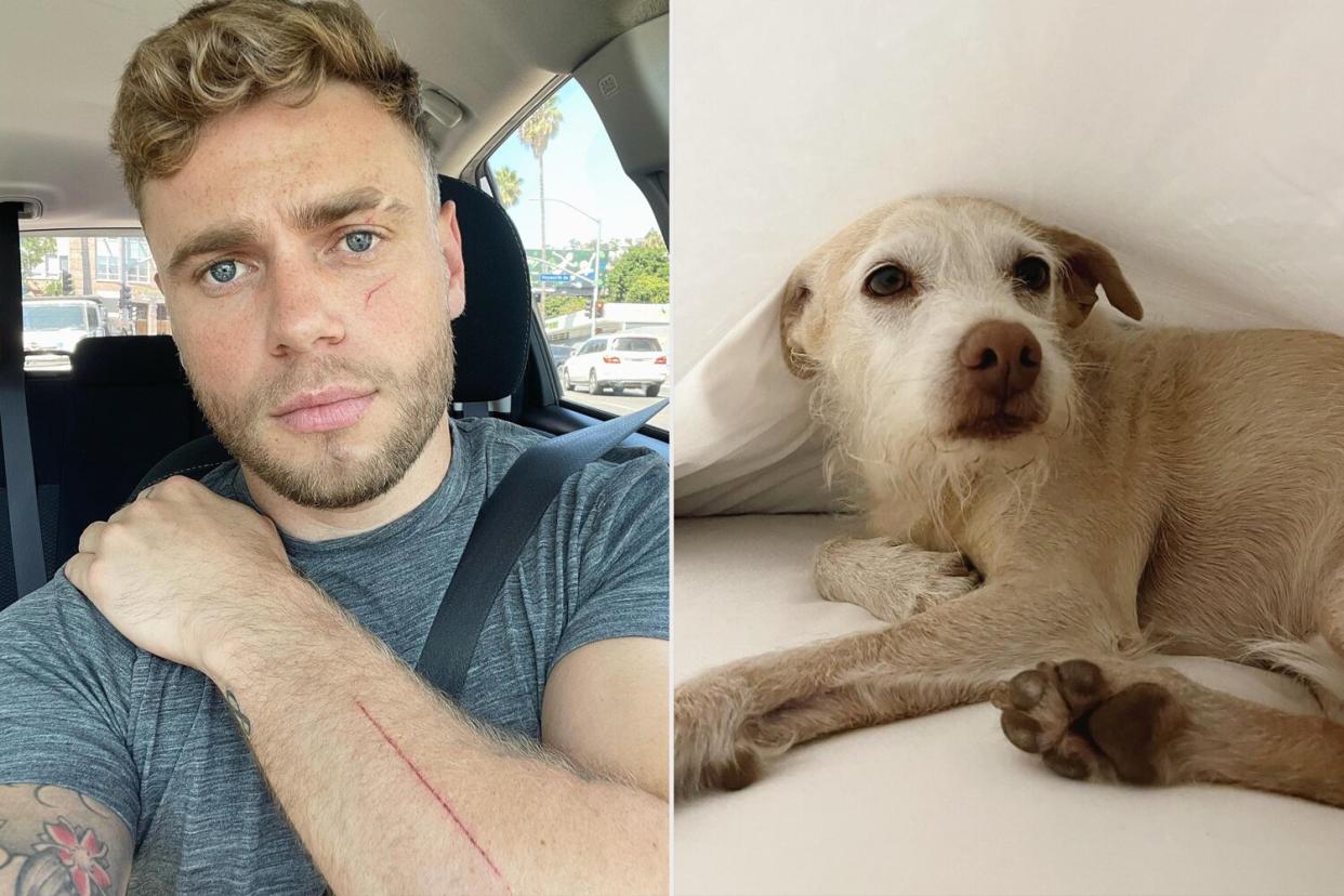 https://www.instagram.com/p/ChafcVyvfMd/ guskenworthy Verified Swipe to see the other guy… ���� 2h