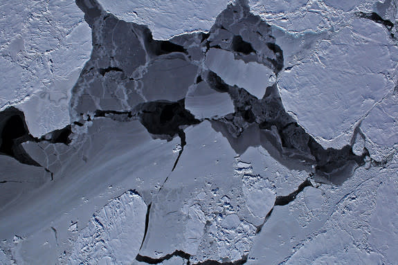 Different thicknesses of sea ice in Antarctica's Bellingshausen Sea. Open water is dark black; older sea ice has a covering of bright white snow, and thick ice is grey.