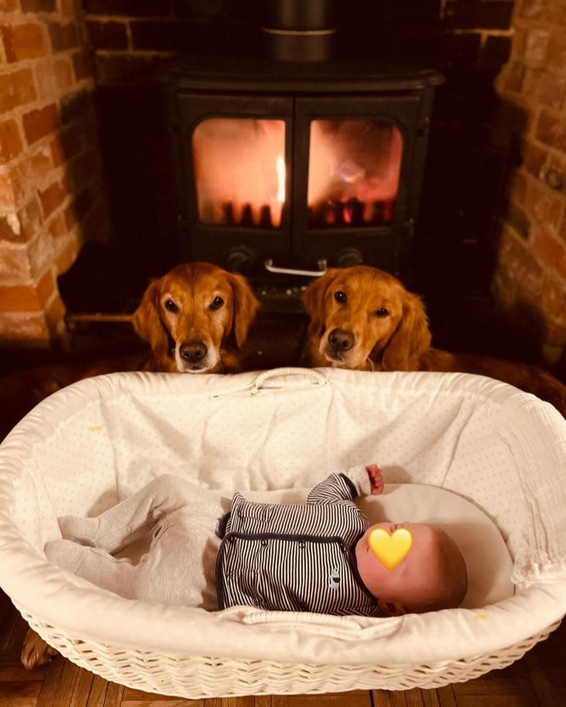 James also shared a sweet snap of his baby son surrounded by his adorable pups. James Middleton / Instagram