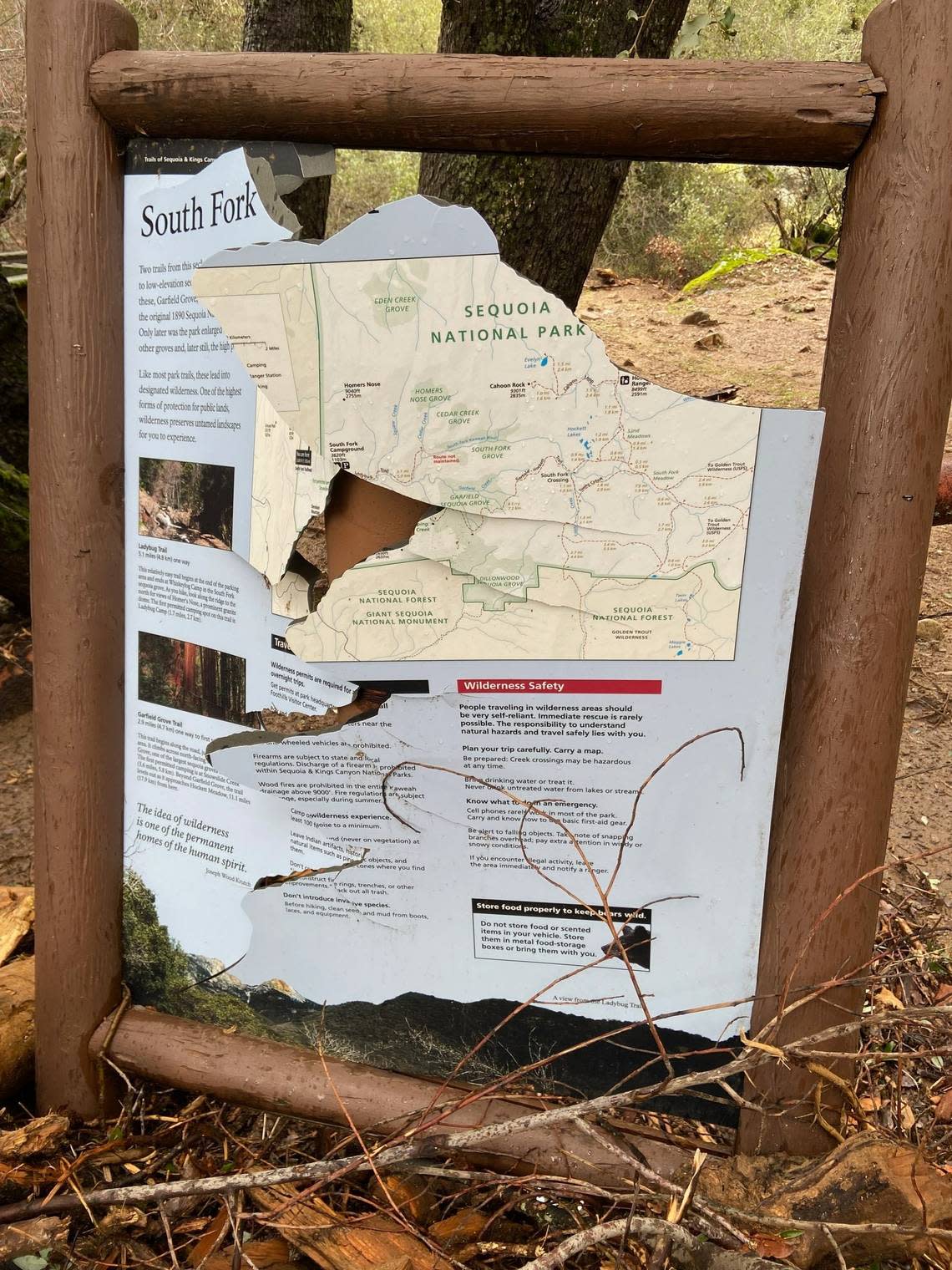 The broken Ladybug Trail trailhead sign following a January 2023 flood that overwhelmed the South Fork area of California’s Sequoia National Park.