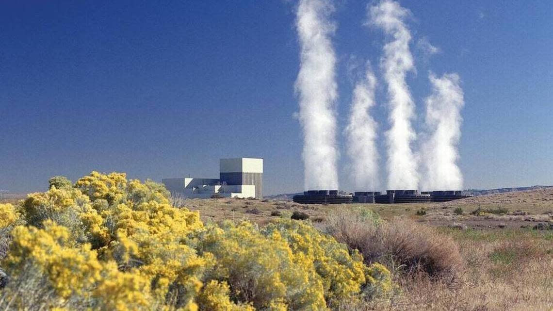 The Columbia Generating Station near Richland is the only nuclear power plant in the Pacific Northwest now, but Energy Northwest has signed an agreement to bring an advanced nuclear reactor to its leased land at the Hanford site.