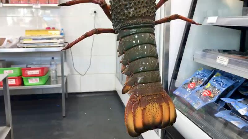 FILE PHOTO: A lobster is seen at a fish market in Sydney