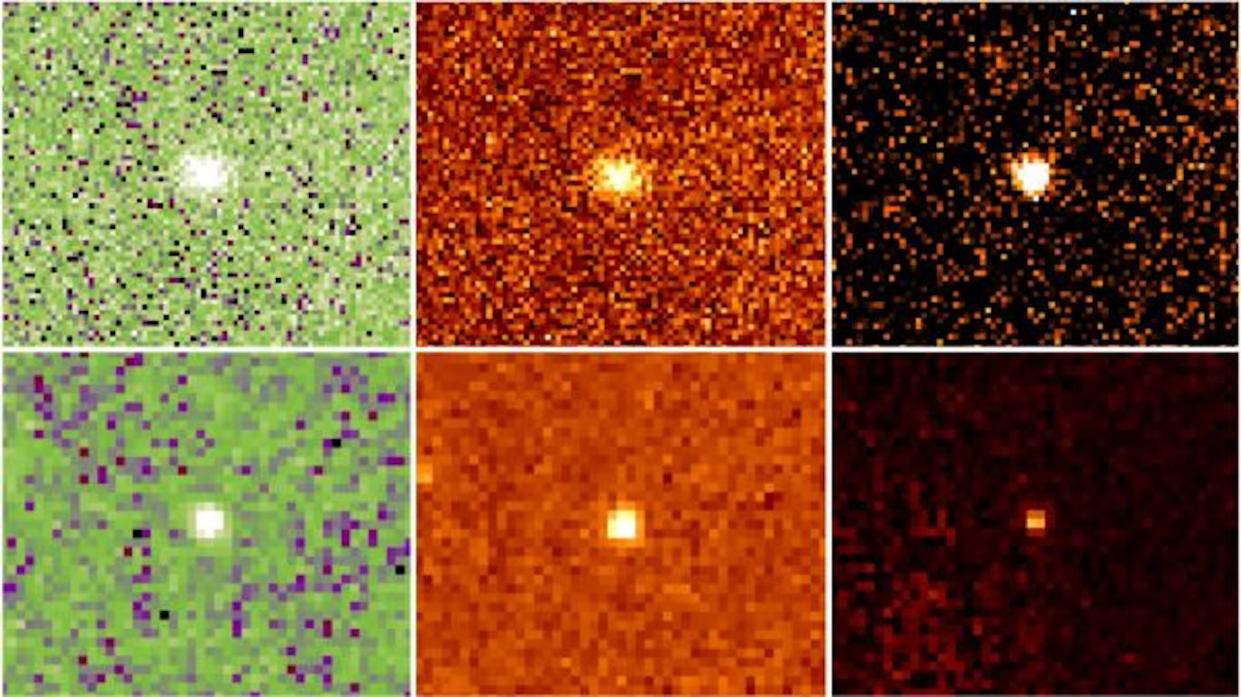  Telescope images of Neptune's rare red asteroids taken with taken with the Palomar 200-inch, Gemini and Keck telescopes 