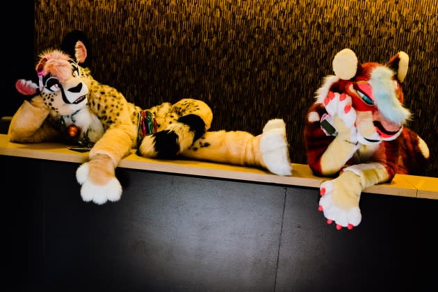 Midwest Furfest - Credit: Lyndon French for Rolling Stone