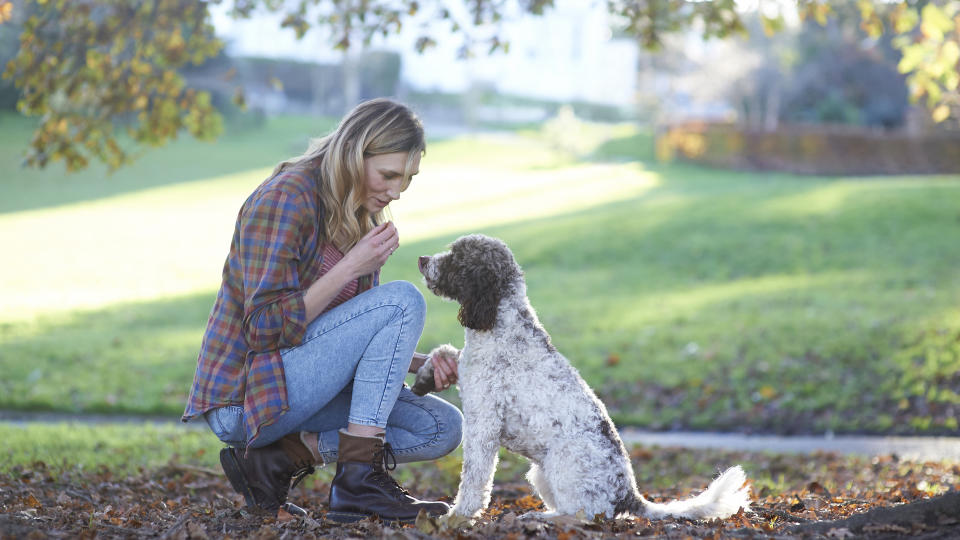 Woman training dog