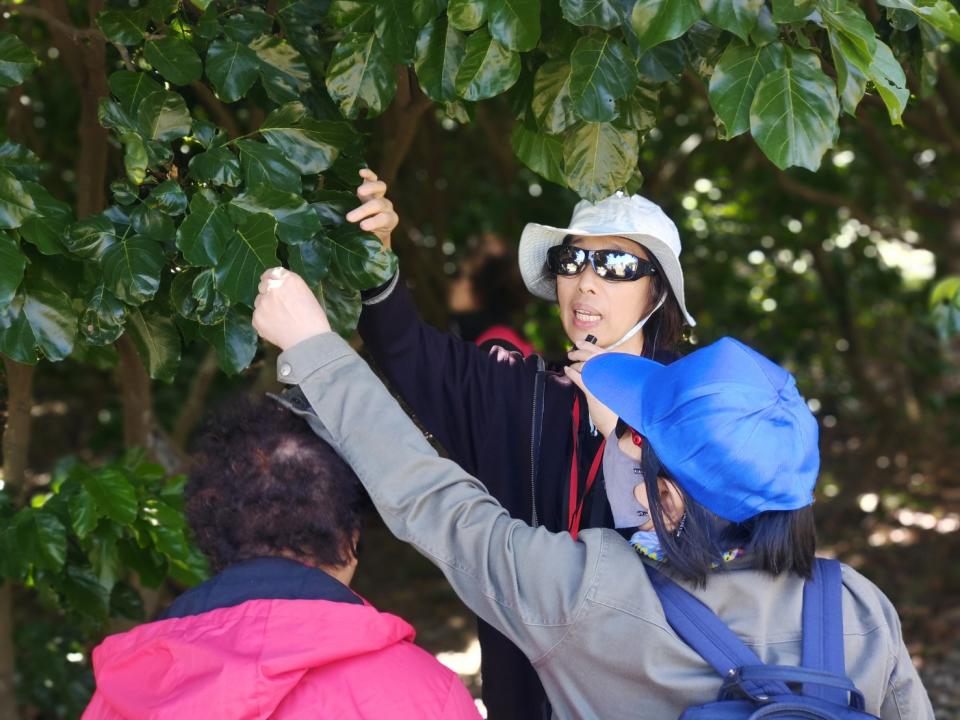 生態導覽安排導覽員郭美慧帶領大小朋友們，細細漫遊新北市美術館園區，尋找棲息在此的動植物們。