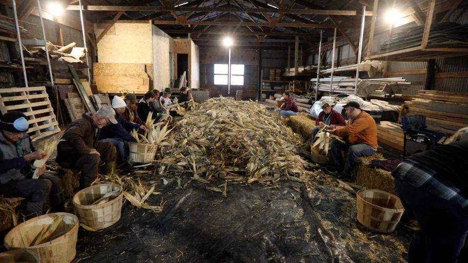 The Friends of Ganondagan bought the Tuscarora White Corn from an Indigenous farmer, which was hand-harvested before being delivered.  The Haudenosaunee Confederacy, which comprises Seneca, Tuscarora, Onondaga, Oneida, Mohawk and Cayuga Nations, hold husking bees and time it so that the harvest at different nations is spread out.