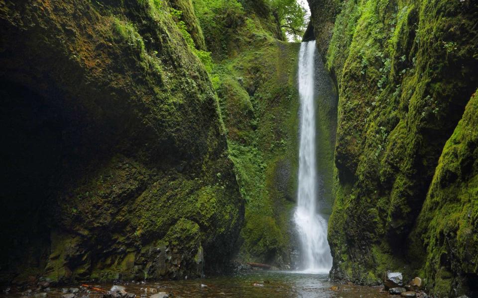 Oneonta Gorge: Oregon