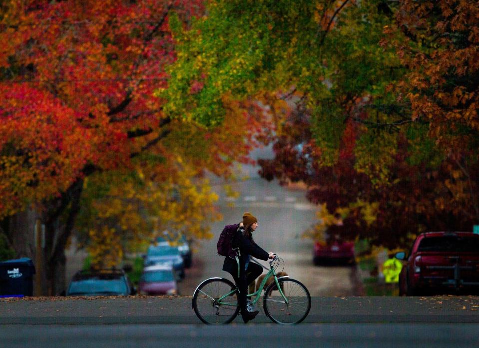 Leaves are turning color and beginning to fall throughout the Willamette Valley, so of course the leaf pickup schedule is being announced.