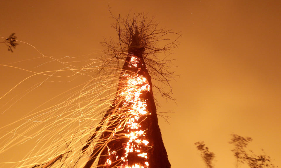 Un tramo de la selva amazónica se quema al ser despejado por madereros y agricultores en Río Pardo, en el estado de Rondonia (Brasil), el 15 de septiembre. (Foto: Ricardo Moraes / Reuters).