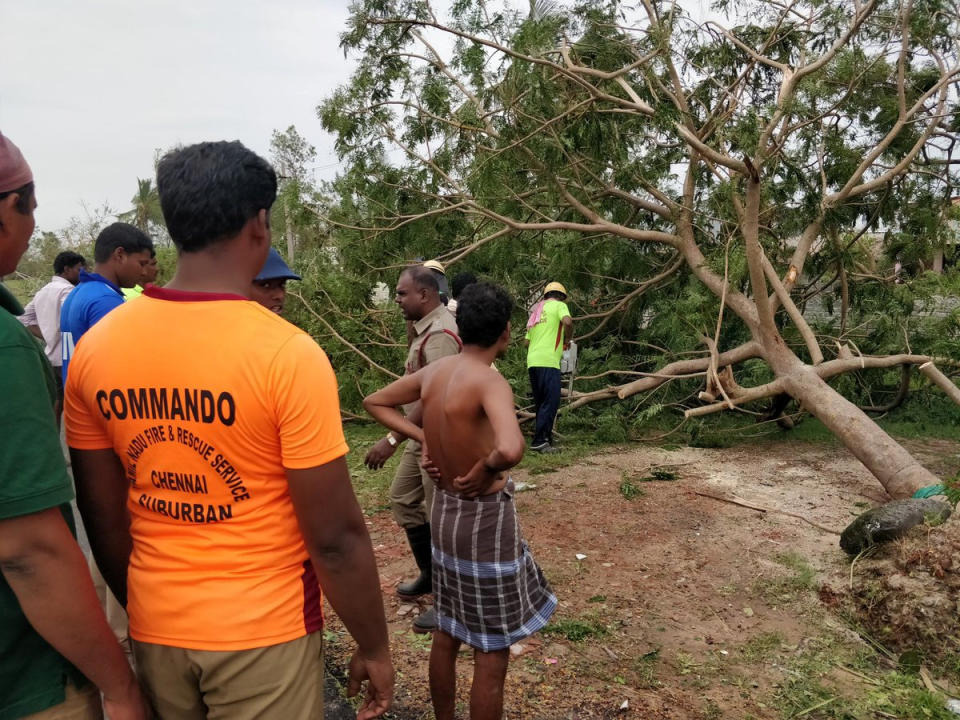 The aftermath of cyclone Gaja is seen in Tamil Nadu