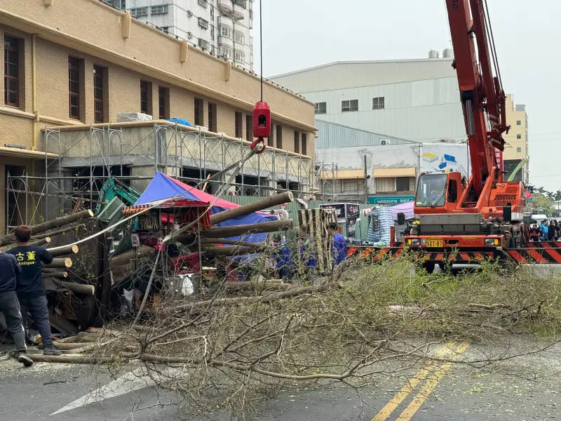 ▲嘉義市文化路郵局門口種植的小葉欖仁樹，今（9）日下午突然傳出倒塌事故。（圖／翻攝議員鄭光宏臉書）