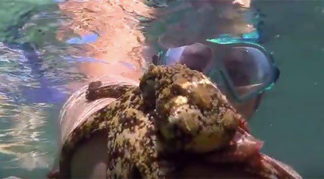 The moment the octopus latched onto the snorkelers arm. Source: Youtube/Stargazer Pictures.