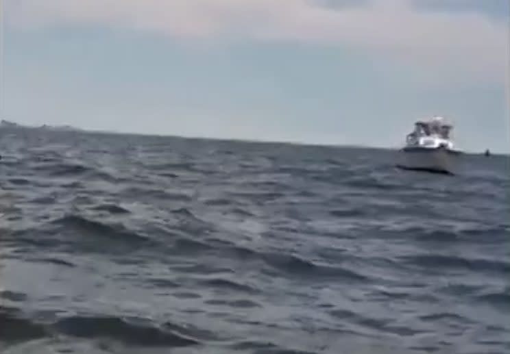 Plötzlich tauchte aus dem Nichts ein Buckelwal auf, der das Boot um ein Haar zum Kentern hätte bringen können. (Bild: Screenshot/ Yahoo/ Paul Ziolkowski via Storyful<br>)