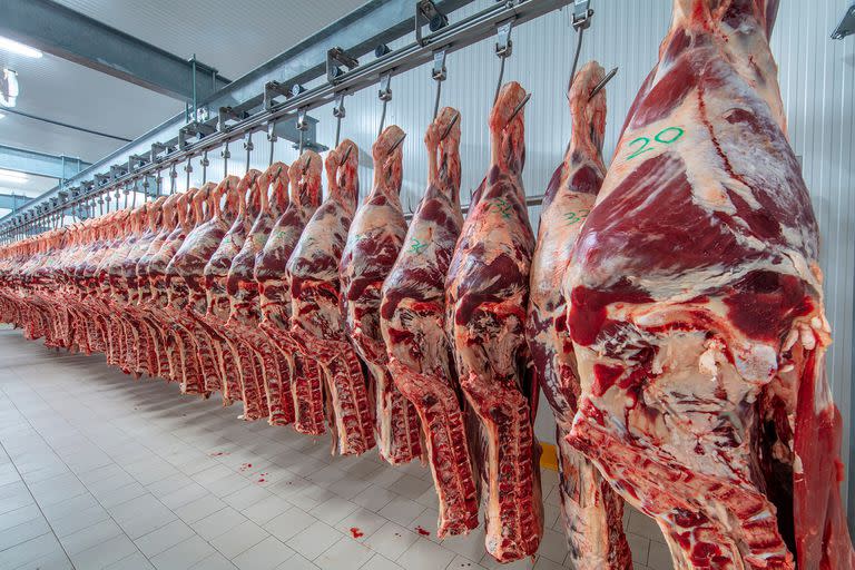 En enero pasado las ventas al exterior de carne vacuna reportaron US$206,4 millones