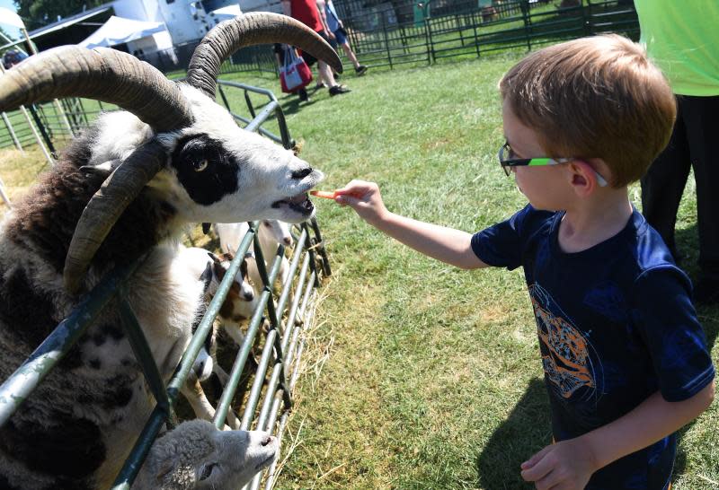 Stephen Rusnak, then 5, of Dundee feeds a carrot to a goat from the Whispering Pines Mobile Zoo on Kids’ Day at the 2019 Monroe County Fair.
Today is Kids' Day at the fair. Children up to age 17 are admitted free until 5 p.m.