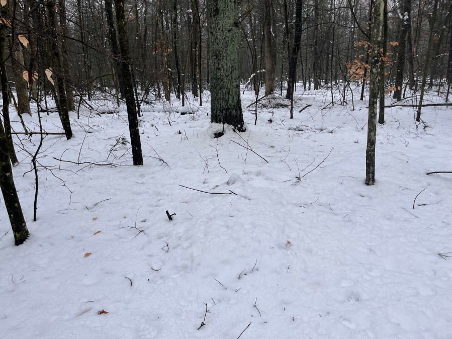 A mock gravesite on Peter and Annica Quakenbush's property. (Jan. 25, 2024)