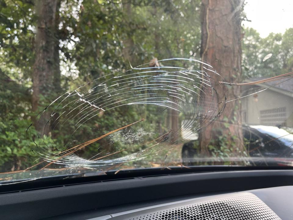 broken bmw windshield